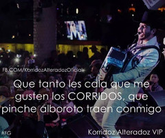 Quotes About Vip1 Corridos