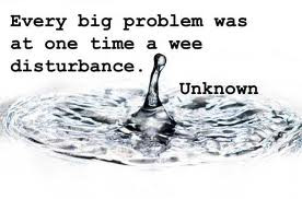 ... Problem Was At One Time A Wee Disturbance. Unknown~ Management Quote