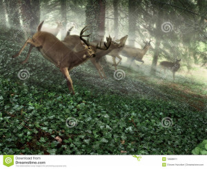group of frisky deer scampering through a lush green pine forest in ...