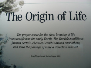 Origin of Life on Earth