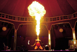 ... circus acts and cabaret that mixes acrobats and sword swallowers with