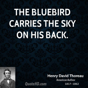 The bluebird carries the sky on his back.