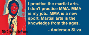 ... arts i practice the martial arts i don t practice mma mma is my job