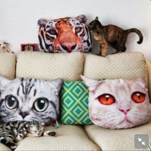 ... 610x610-jewels-pillow-cat-cats-cute-sweet-miau-rawr-funny-home.jpg