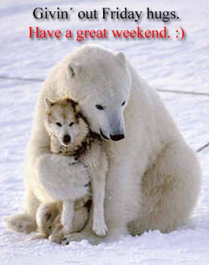 ... hugs quotes cute animals quote friday wolf days of the week polar bear