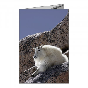 Wilderness & Hiking Greeting Card with photo of Mountain Goat, quote ...