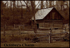 ... about PRIMITIVE HANG TAGS WITH AMERICANA SAYINGS FOR THE 4TH OF JULY