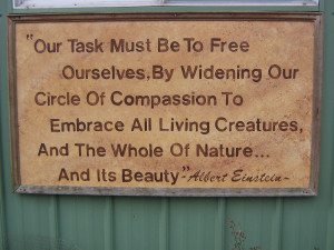 Quotes About Wildlife Conservation