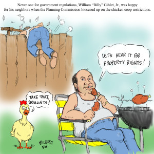 Chicken Pictures Funny Gallery