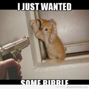 cat funny gun Quotes