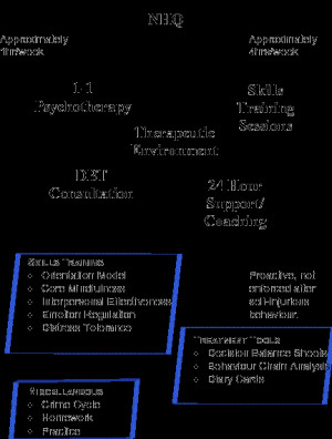 Figure 1: Dialectical Behavior Therapy (DBT) Treatment Model (SLE)