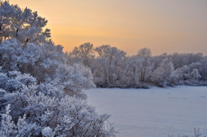 Winter Landscape by Larisa Koshkina