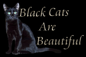 Black Cats Are photo Black-Cats-Are.gif