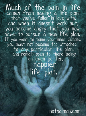 ... life plan, and remain open to there being a better, happier life plan