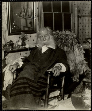 walt whitman pictured in the last few months of his life 1891 camden ...