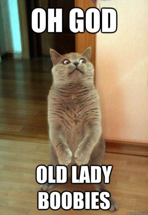 Oh God Old Lady Boobies Cat Meme