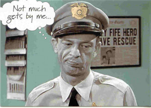america barney fife er barney frank is on the case
