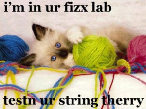 love LOLcats. I love physics. Mix the two together and I CAN'T STAND ...