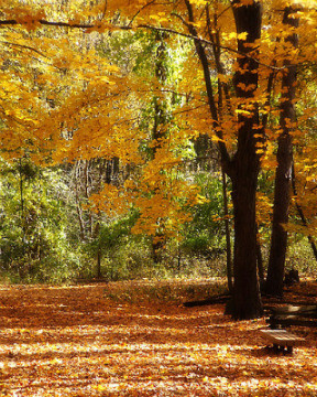 So who is Buddha? I have taken the explanation from viewonbuddhism.org ...