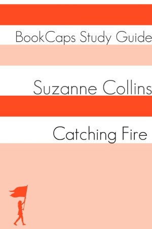 catching fire quotes with page numbers