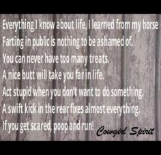... Horse Funny Quotes, Funny Cowgirl Quotes, Funny Horse Quotes, Horse