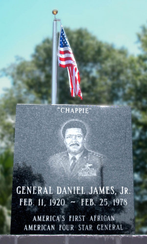 These are the daniel chappie james quotes dakistir Pictures