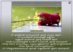 Best Love Quotes Malayalam Image Search Results