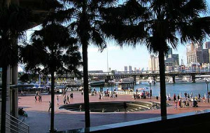 public open space are a feature of this Sydney waterfront project
