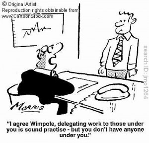 government inefficiency