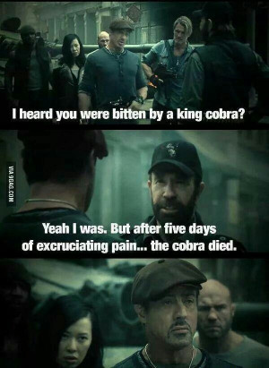 Chuck Norris tells a Chuck Norris joke in The Expendables 2. Probably ...