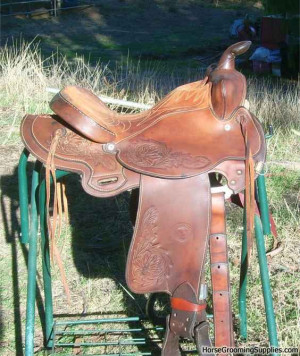 ... gaited horse saddles? at the Tack & Equipment forum - Horse Forums