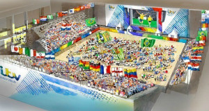 fever pitch manchester world cup