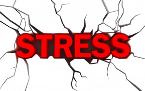 ... stress on health it is important to reduce stress to maintain optimal