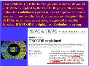 ... Evolution, arguing against the ENCODE 2012 results. From slide 5