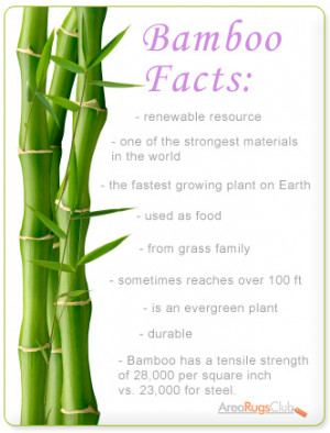 Interesting Facts That Will Have Everyone Thinking Bamboo