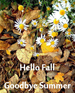 Hello Fall n Good bye Summer