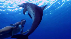 All site content © 2000-2015 Peter Canavese. Page generated at 05/15 ...