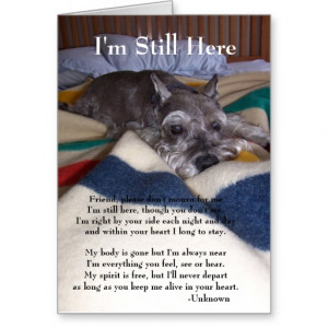 Sympathy Card for Loss of Pet