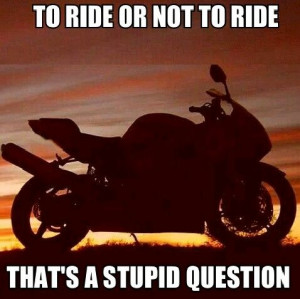 ... or not to ride, stupid question, motorcycle, sporbike, rider, quotes