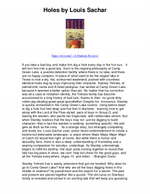Holes by Louis Sachar - 5 Stars - Funny And Exciting by larryg221