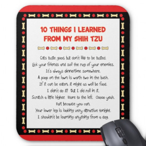 Funny Things I Learned From My Boston Terrier Mousemats