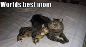 funny mothers day quotes mother s day is a time of joy and happiness ...