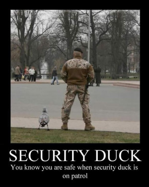 Funny Army Security Duck Guard Picture Joke Image Meme - You know you ...