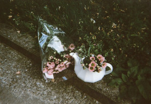 flowers, hipster, indie, old, photography, plants, vintage