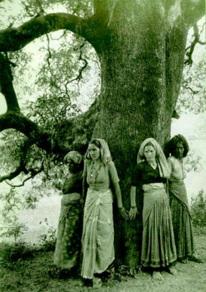The Chipko Movement of India - Tree Huggers Unite!