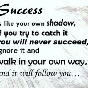 Shadow Beautiful Quotes on Success