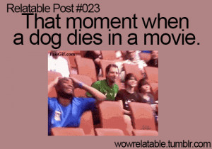 ... Everything Relatable Relatable Quote Funny Quotes Pickup Lines 2012