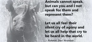 Speak For The Rhino