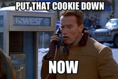 ... arnold schwarzenegger quotes more fit food posts diet humor arnold fit