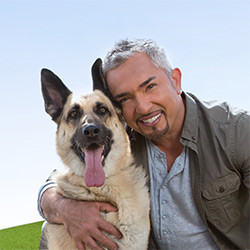Cesar Millan Introduces Alpha Turf NW for Pet Owners
